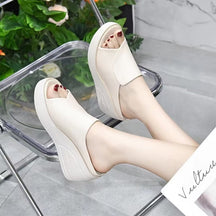 Sandália Anatômica Feminina - Confort Premium